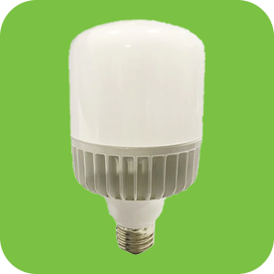 Bulbs