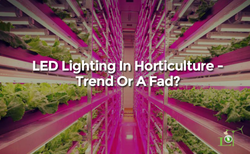LED Lighting In Horticulture - Trend Or A Fad?