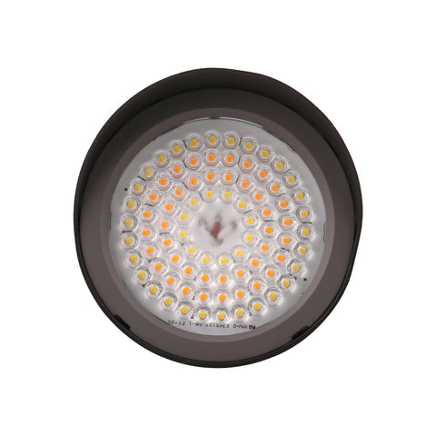 BOISE 2nd Gen | LED Landscaping Light | 25 Watt | 3375 Lumens | Adj CCT 3000K/4000K/5000K | 120V-277V | Ground Stake Mount | Bronze Housing | IP65 | UL & DLC Listed - Lighting of Tomorrow 