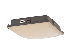 Selectable LED Slim Canopy Light