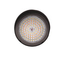 LED BULLET FLOOD - TUNABLE POWER & CCT - KNUCKLE (12PK) - COMMERCIAL LED - Lighting of Tomorrow 