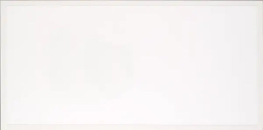 2x4ft LED Backlit Panel with adjustable wattage (30/40/50W) and CCT (3500/4000/5000K) for commercial use.