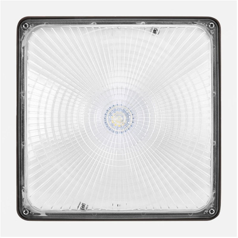 40W 60W LED Canopy Light with 5000K AC120-277V for Indoor Lighting