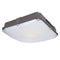 70W LED Canopy Light with 8400 Lm  5000K for Outdoor Ceiling Lights