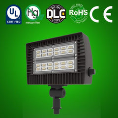 LED Flood Light