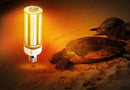 LED Turtle Light - Lighting of Tomorrow 